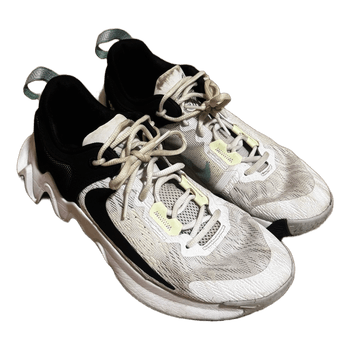 Nike Giannis basketball shoes
