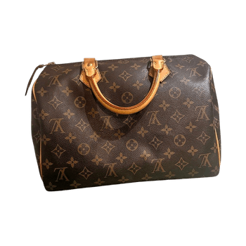 Louis Vuitton Speedy 30 Monogram