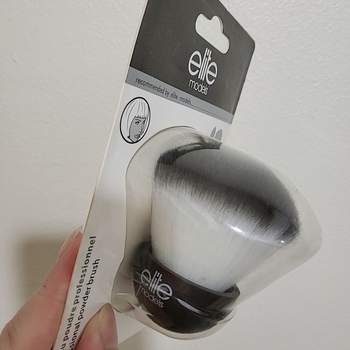 Professional powder brush