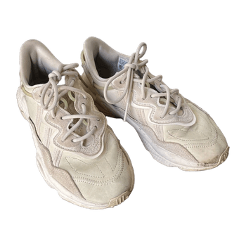 Adidas sneakers
