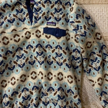 Patagonia hoodie