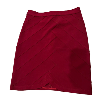 Herve leger skirt