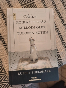 Miksi koirasi tietää, milloin olet tulossa kotiin