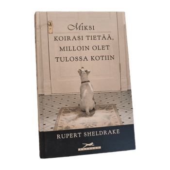 Miksi koirasi tietää, milloin olet tulossa kotiin