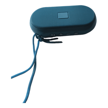 Portable wireless speaker