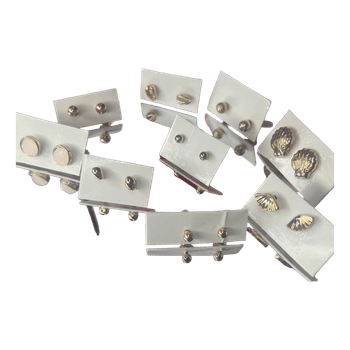 Kultaiset korvakorut setti