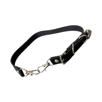 Black leather harness
