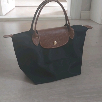 Longchamp bag