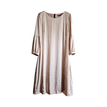Hugo Boss champagne silk dress