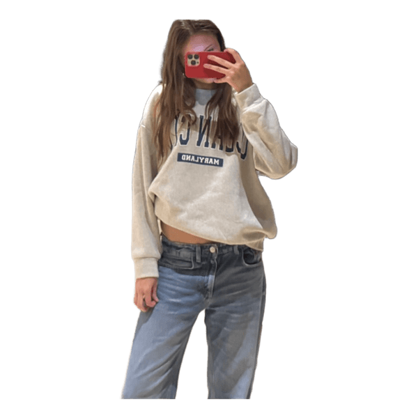 Grå sweatshirt med print