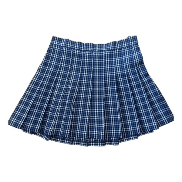Blue plaid pleated skirt