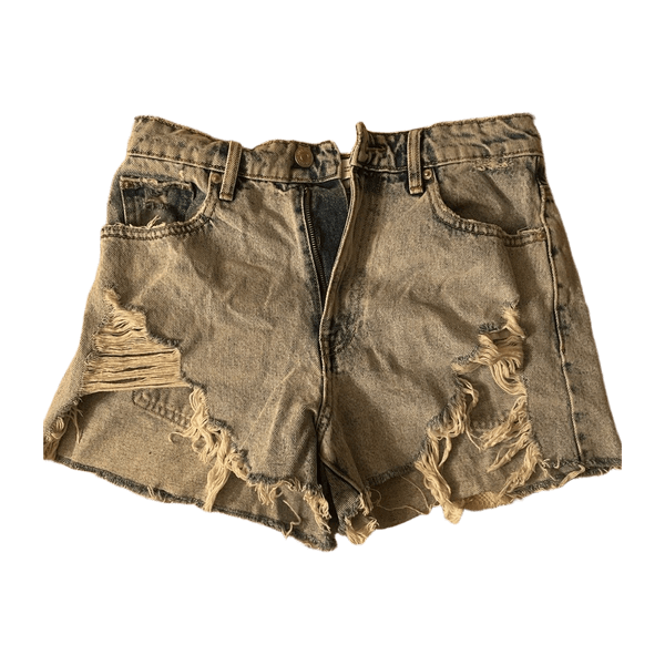 Zara shorts