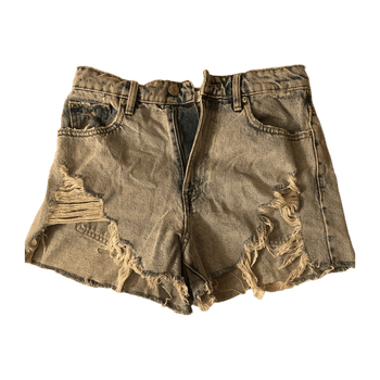 Zara shorts