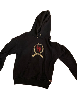 Tommy hilfiger hoodie