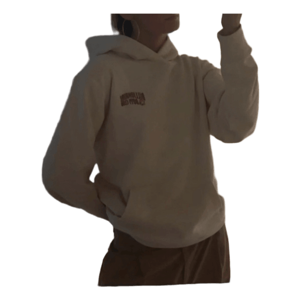 Billionaire boys Club hoodie