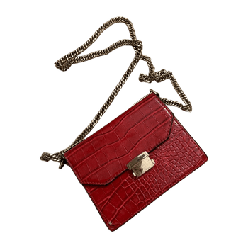 Zara bag