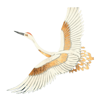 Elegant Flight Art Print
