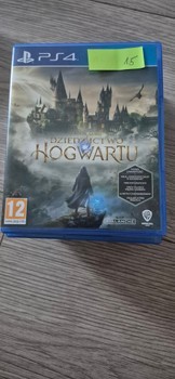 Hogwarts legacy ps4