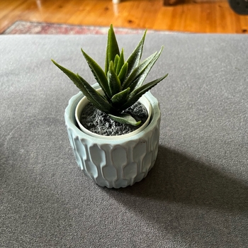 Small pot with faux plant