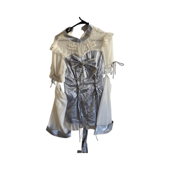 Silver lace overlay dress