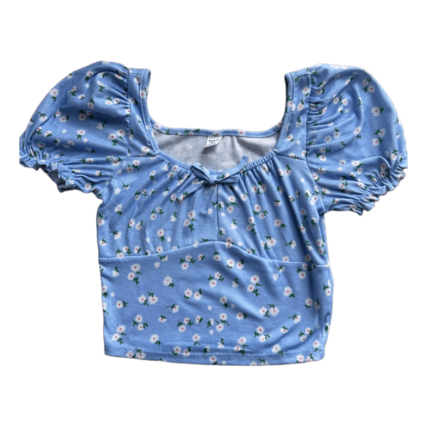 Blue floral crop top