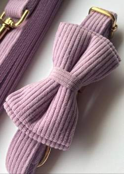 Lilac corduroy pet set