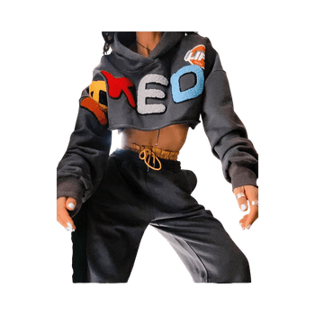 Grey crop hoodie with colorful letters