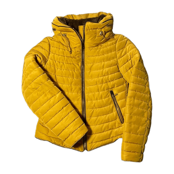 Zara coat