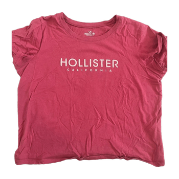 Hollister top