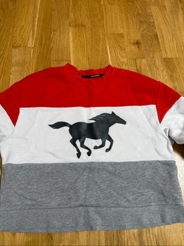 Mustang colorblock horse sweatshirt