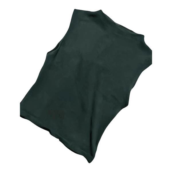 Zara sleeveless mock neck top