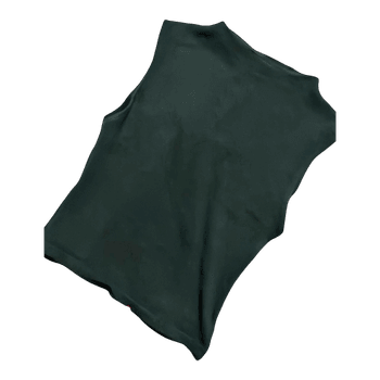 Zara sleeveless mock neck top