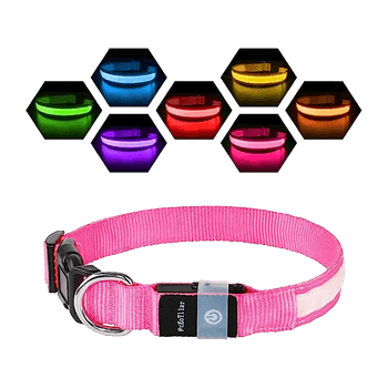 LED dog collar