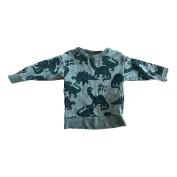 Khaki dinosaur print sweatshirt