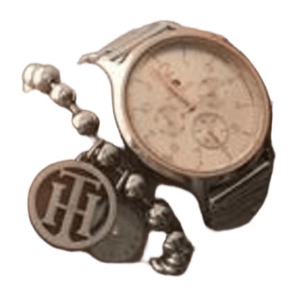 Tommy hilfiger jewelry