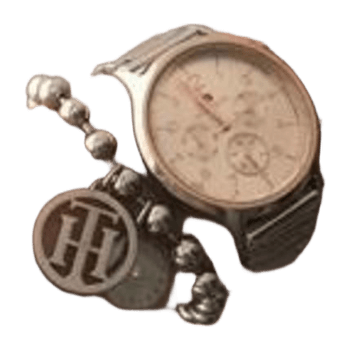 Tommy hilfiger jewelry