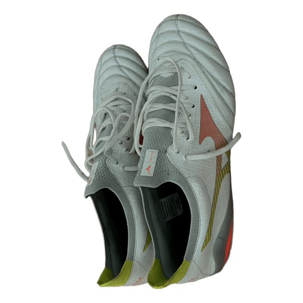 Mizuno morelia