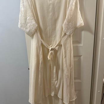 Beige lace sleeve dress