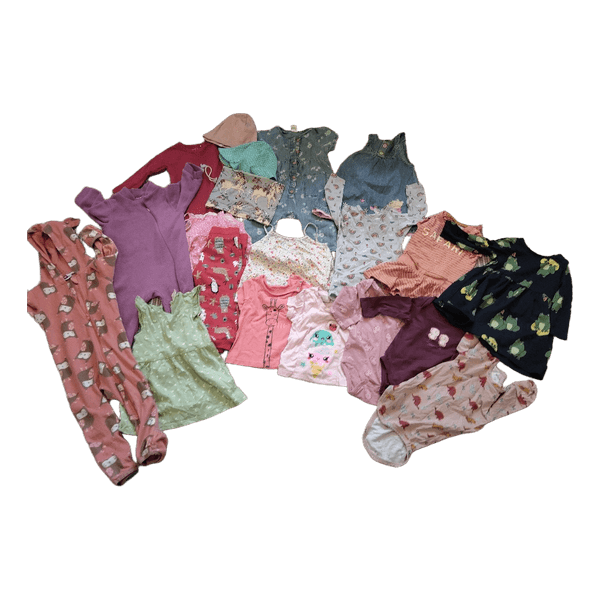 Baby girl clothing bundle 68-74