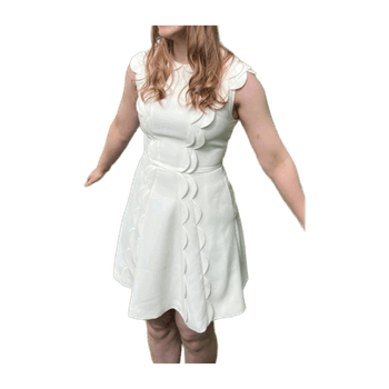 Ted baker dress