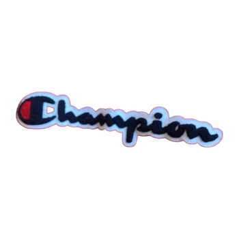 Champion huppari