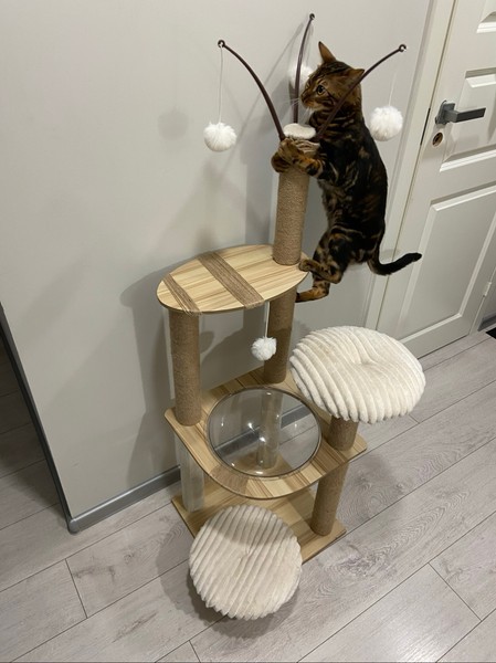 Wooden cat scratching tree