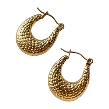 Earring jewelry