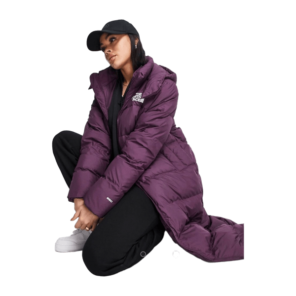 The north face coat
