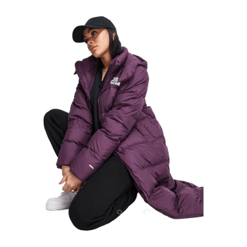 The north face coat