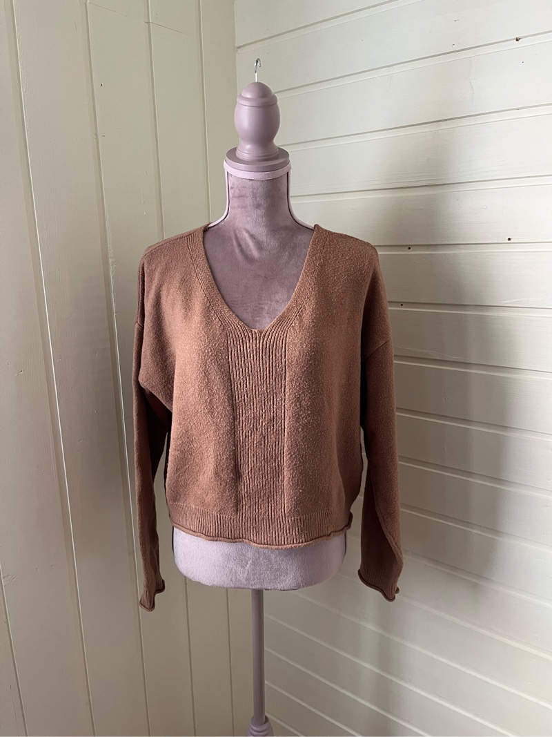 Brown v-neck sweater