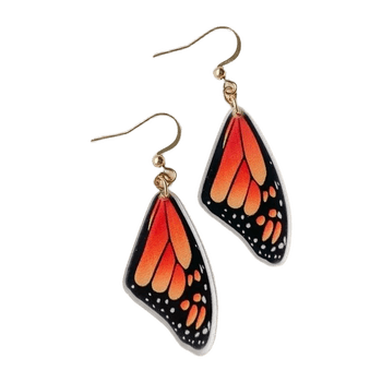 Earring jewelry