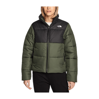 The north face coat