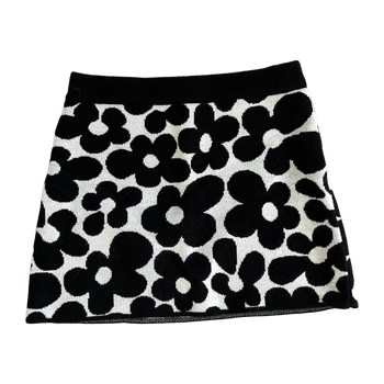 H&m skirt
