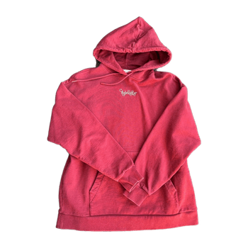 Holzweiler hoodie